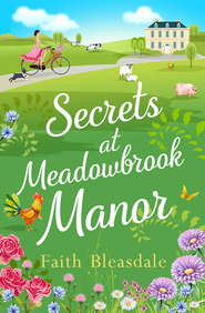 бесплатно читать книгу Secrets at Meadowbrook Manor автора Faith Bleasdale