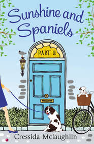бесплатно читать книгу Sunshine and Spaniels автора Cressida McLaughlin