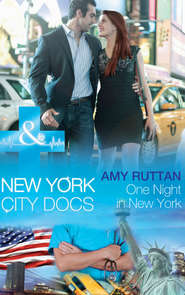 бесплатно читать книгу One Night in New York автора Amy Ruttan