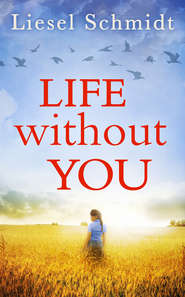 бесплатно читать книгу Life Without You автора Liesel Schmidt