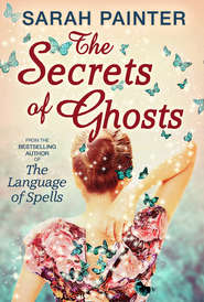 бесплатно читать книгу The Secrets Of Ghosts автора Sarah Painter