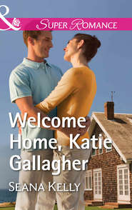 бесплатно читать книгу Welcome Home, Katie Gallagher автора Seana Kelly