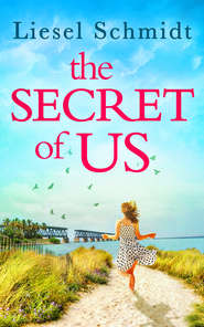 бесплатно читать книгу The Secret Of Us автора Liesel Schmidt