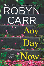 бесплатно читать книгу Any Day Now автора Робин Карр