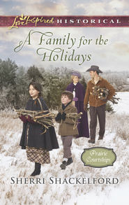 бесплатно читать книгу A Family For The Holidays автора Sherri Shackelford