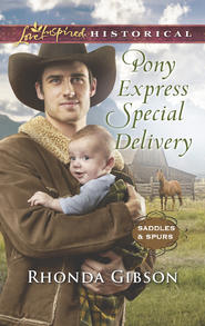 бесплатно читать книгу Pony Express Special Delivery автора Rhonda Gibson