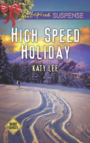 бесплатно читать книгу High Speed Holiday автора Katy Lee