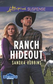 бесплатно читать книгу Ranch Hideout автора Sandra Robbins
