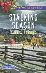 бесплатно читать книгу Stalking Season автора Sandra Robbins