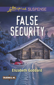 бесплатно читать книгу False Security автора Elizabeth Goddard