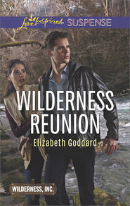 бесплатно читать книгу Wilderness Reunion автора Elizabeth Goddard