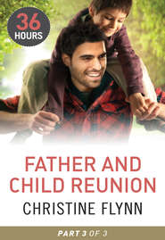 бесплатно читать книгу Father and Child Reunion Part 3 автора Christine Flynn