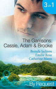 бесплатно читать книгу The Garrisons: Cassie, Adam & Brooke: Stranded with the Tempting Stranger автора Brenda Jackson