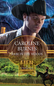 бесплатно читать книгу Babe in the Woods автора Caroline Burnes