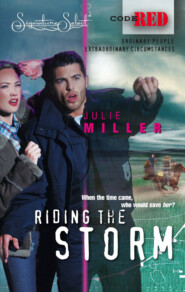 бесплатно читать книгу Riding the Storm автора Julie Miller