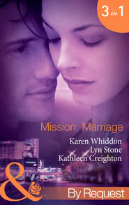 бесплатно читать книгу Mission: Marriage: Bulletproof Marriage автора Lyn Stone