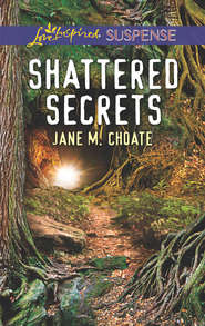 бесплатно читать книгу Shattered Secrets автора Jane Choate