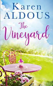 бесплатно читать книгу The Vineyard автора Karen Aldous