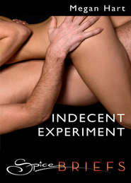 бесплатно читать книгу Indecent Experiment автора Megan Hart