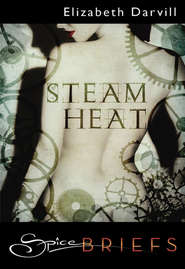 бесплатно читать книгу Steam Heat автора Elizabeth Darvill