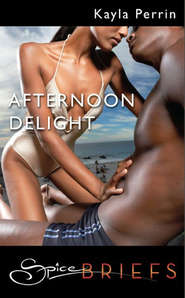 бесплатно читать книгу Afternoon Delight автора Kayla Perrin