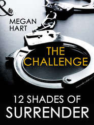 бесплатно читать книгу The Challenge автора Megan Hart