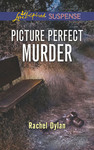 бесплатно читать книгу Picture Perfect Murder автора Rachel Dylan