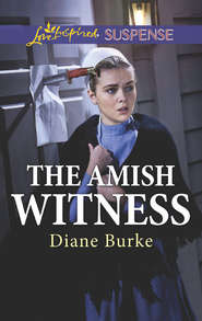 бесплатно читать книгу The Amish Witness автора Diane Burke