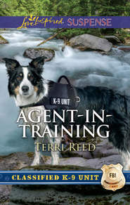 бесплатно читать книгу Agent-In-Training автора Terri Reed