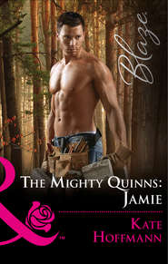 бесплатно читать книгу The Mighty Quinns: Jamie автора Kate Hoffmann