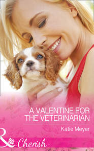 бесплатно читать книгу A Valentine For The Veterinarian автора Katie Meyer