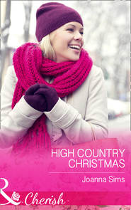 бесплатно читать книгу High Country Christmas автора Joanna Sims