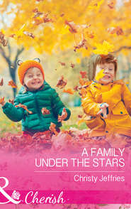 бесплатно читать книгу A Family Under The Stars автора Christy Jeffries