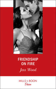 бесплатно читать книгу Friendship On Fire автора Joss Wood