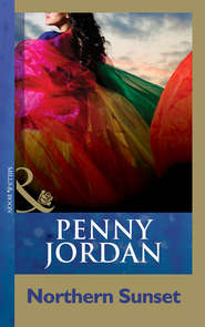 бесплатно читать книгу Northern Sunset автора Пенни Джордан