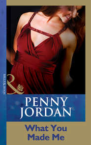 бесплатно читать книгу What You Made Me автора Пенни Джордан