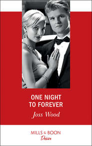 бесплатно читать книгу One Night To Forever автора Joss Wood