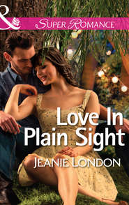 бесплатно читать книгу Love In Plain Sight автора Jeanie London