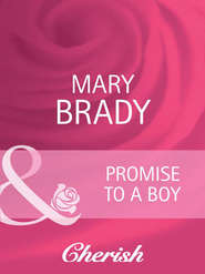 бесплатно читать книгу Promise to a Boy автора Mary Brady