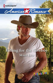 бесплатно читать книгу Falling for the Cowboy автора Mary Leo
