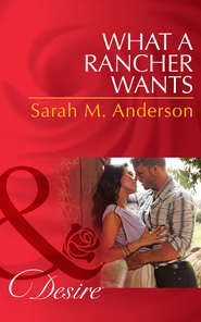 бесплатно читать книгу What a Rancher Wants автора Sarah Anderson