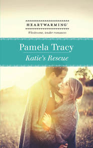 бесплатно читать книгу Katie's Rescue автора Pamela Tracy