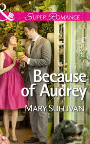 бесплатно читать книгу Because of Audrey автора Mary Sullivan