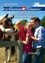 бесплатно читать книгу The Family Plan автора Cathy McDavid