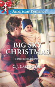 бесплатно читать книгу Big Sky Christmas автора C.J. Carmichael