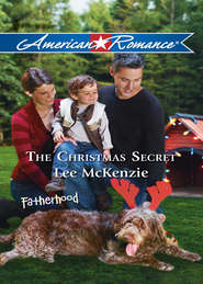 бесплатно читать книгу The Christmas Secret автора Lee McKenzie