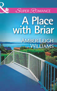 бесплатно читать книгу A Place with Briar автора Amber Williams