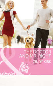 бесплатно читать книгу The Doctor and Mr. Right автора Cindy Kirk