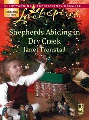 бесплатно читать книгу Shepherds Abiding in Dry Creek автора Janet Tronstad