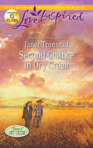 бесплатно читать книгу Second Chance in Dry Creek автора Janet Tronstad